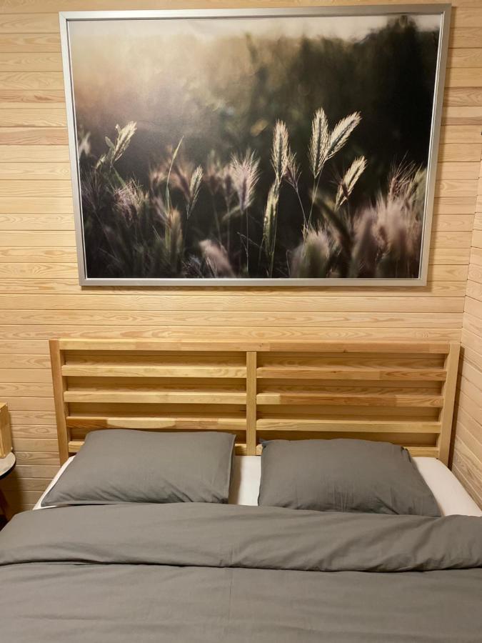 Tiny House Cesis Villa Екстериор снимка